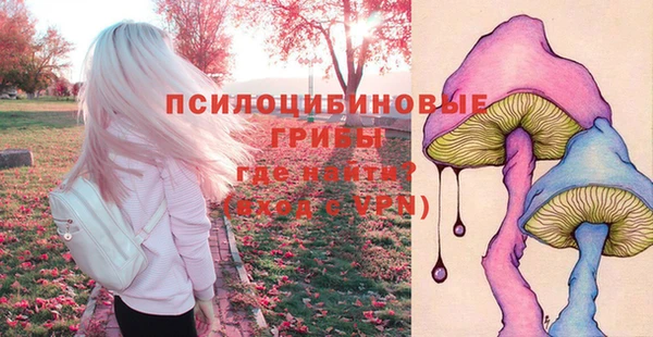 jwh Верхний Тагил