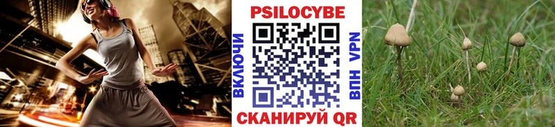 Галлюциногенные грибы MAGIC MUSHROOMS  Купить  Торопец 